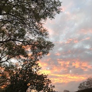 Meet your Posher, Evie